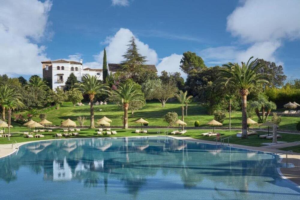 A palm-fringed pool at one of the luxury retreats we use